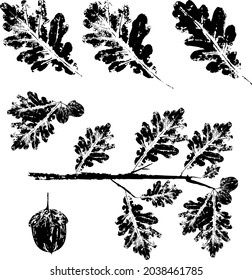 Black ink print of a fallen autumn leaf. Watercolor leaf. Branch with leaves. Illustration for patterns, packaging, clothing. For furniture, wallpaper and fabrics.