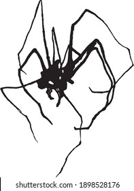 Black ink scary spider hand painted silhoette