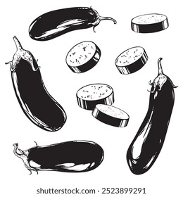 Black ink sketch set of eggplant. Hand drawn whole brinjal vegetable and pieces on white background. Vector illustration of aubergine in engraving style. Illustration for label, product packaging.