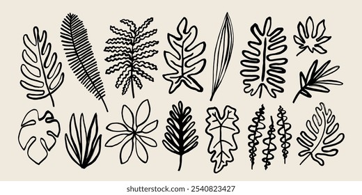 Black ink tropical palm leaves collection. Dry brush hand painted exotic jungle leaves set. Hand drawn abstract safari leaves print. Linear brush strokes sketch with tropical foliage plants.