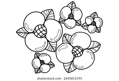 Black ink vector flower image. flower pattern, cute, balloon flower sketch, printable, editable
