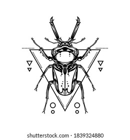 black insect line art with ornament
