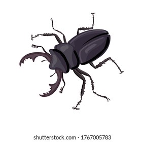 Escarabajo de insectos negros. Dibujo aislado sobre un fondo blanco. Ilustración vectorial de material.