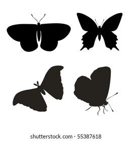 black insects