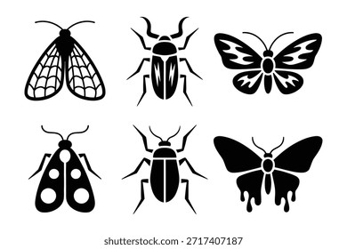 Escarabajo de la polilla de los insectos y de las mariposas negros