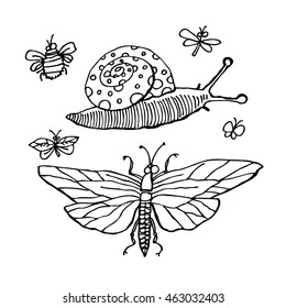 Black insects isolated on white background. Hand drawn graphics, vector eps 10. Butterfly, snail, honey bee.