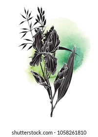 Black Iris flower with grass on green texture watercolor background. Hand drawn vector illustration for floral design. For invitation, greeting cards, textile, paper and wrapping