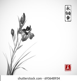 Black Iris flowers hand drawn with ink in asian style on white background. Traditional oriental ink painting sumi-e, u-sin, go-hua.  Contains hieroglyphs - eternity, freedom, happiness, beauty.