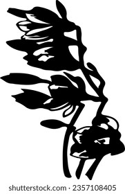 black isolated floral vector, flower illustration image