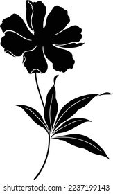 diseño vectorial de ilustración de flores aisladas en negro