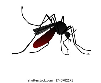 El mosquito negro aislado durante la picadura. Ilustración del vector