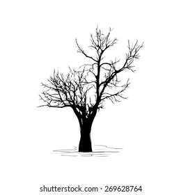 Black isolated silhouette of the tree