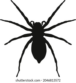Black isolated spider. Vector halloween spider shadow.