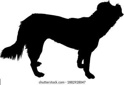 Silhouette Dog Breed Labrador Retriever Stock Vector (royalty Free 