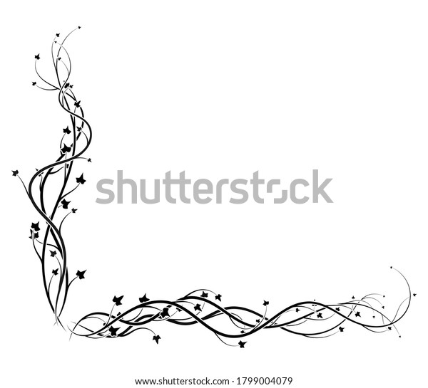 black ivy corner frame on white background vine.\
vector illustration\
stock