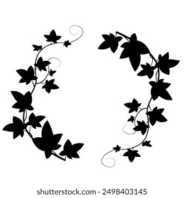 Black ivy silhouette. Curved plant vector. Decorative leaves. Nature frame.