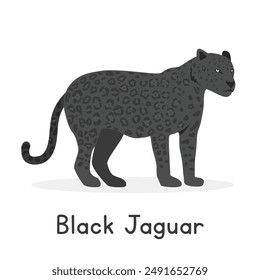 Black jaguar vector illustration, cartoon clipart character, animal in flat style. Wild animals, wild creatures, wildlife concept. Black panther vector design isolated on white background