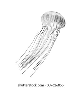 Black jellyfish. 3d hologram x-ray style vector illustration for prints, bag, tatto or t-shirt. Black background. Eps 10.