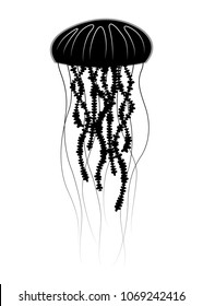 Black jellyfish on white background. Detailed cartoon icon of sea jelly. Vector illustration.