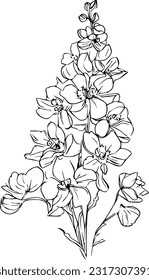 black july birth flower larkspur tattoo, delphinium flower line art, vector illustration, hand-drawn pencil sketch, coloring book, and page, isolated on white background clip art.
