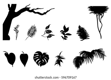 Black jungle plants silhouettes set with trees bush and tropical leaves of different shapes isolated vector illustration