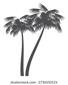 Black jungle tree silhouette. Subtropical nature botany