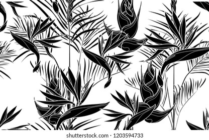 Black kentia and bird of paradise flower pattern. Vector illustration. Botanical seamless wallpaper. Digital nature art. Cartoon style sketch. White background.