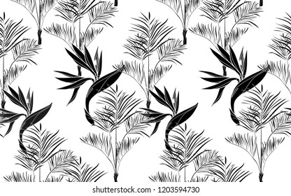 Black kentia and bird of paradise flowers pattern. Vector illustration. Botanical seamless wallpaper. Digital nature art. Cartoon style sketch. White background.