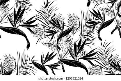 Black kentia leaves and bird of paradise flowers pattern. Vector illustration. Botanical seamless wallpaper. Digital nature art. Cartoon style sketch. White background.