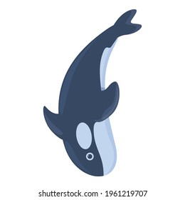 Black killer whale icon. Cartoon of Black killer whale vector icon for web design isolated on white background