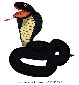 black  king cobra with fangs vector illustration