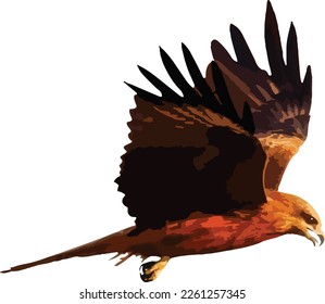 Black kite flying isolated on white background. Vector illustration