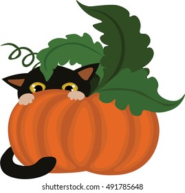 Black kitten and pumpkin a vector illustration