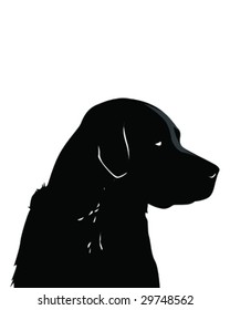 Black Lab Vector Illustration