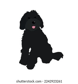 Black labradoodle isolated on white background. Dark poodle vector illustration. Cute big fluffy dog sitting icon svg