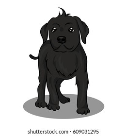 黒い犬 の画像 写真素材 ベクター画像 Shutterstock