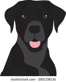 Black Labrador Dog With Tongue Sticking Out Vector Design Artwork Isolated