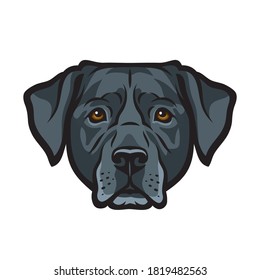 Black Labrador Retriever Dog Isolated Outlined Vector Illustration
