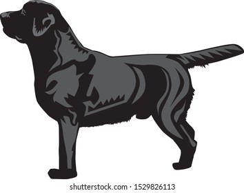 Black Labrador Retriever Dog Profile Illustration