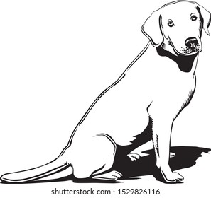 black labrador retriever dog profile illustration