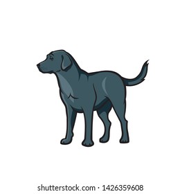 Black Labrador Retriever - isolated vector illustration