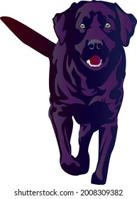 Black labrador running with open mouth and shiny green eyes vector illustration