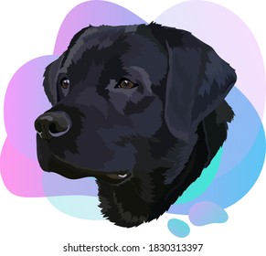 Black labrador vector.Portrait of a dog 1. Trend