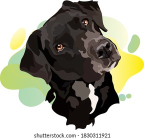 Black labrador vector.Portrait of a dog. Trend