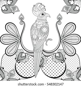 Black lace with parrot bird, vector illustration for vintage card decoration, seamless pattern. Floral romantic background. Zentangle ornament for wedding invitation, save the date.  
