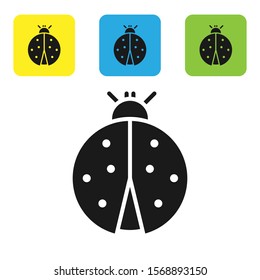 Black Ladybug icon isolated on white background. Set icons colorful square buttons. Vector Illustration
