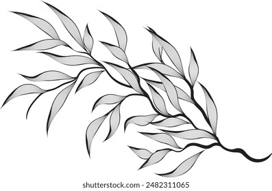 Black leaf branch hand drawn art