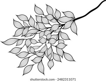 Rama de hoja negra dibujada a mano