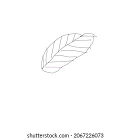 Black leaf drawn vector for design 