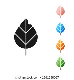 Black Leaf icon isolated on white background. Fresh natural product symbol. Set icons colorful. Vector Illustration
